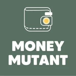 Curso Financiero: Pon en orden tus finanzas